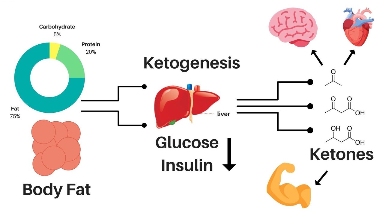 Delislim allows you to lose weight and provides energy