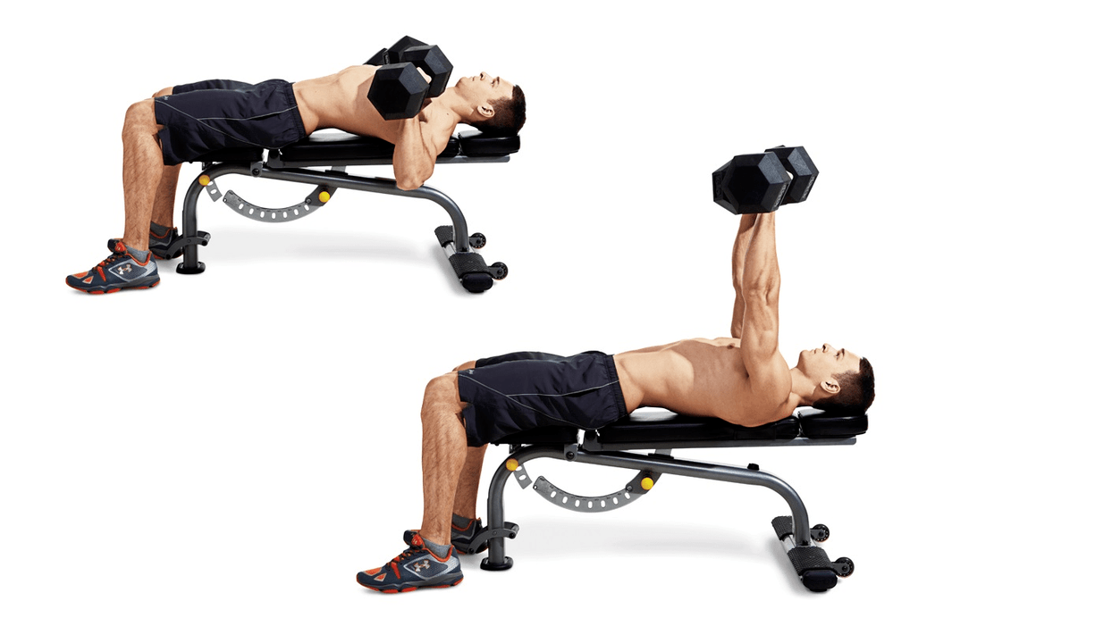 Dumbbell bench press for the purpose of working out the upper body